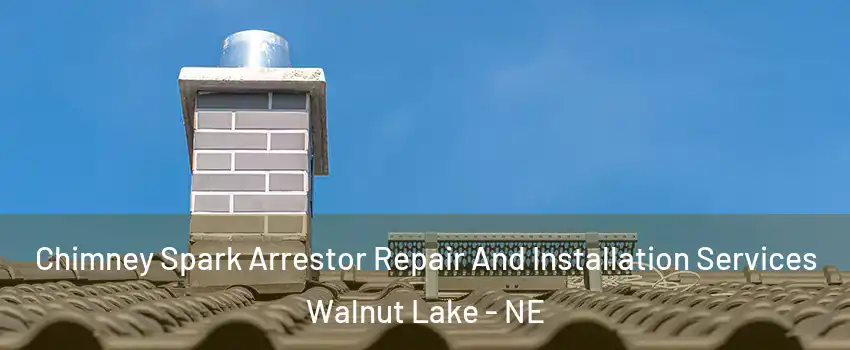 Chimney Spark Arrestor Repair And Installation Services Walnut Lake - NE