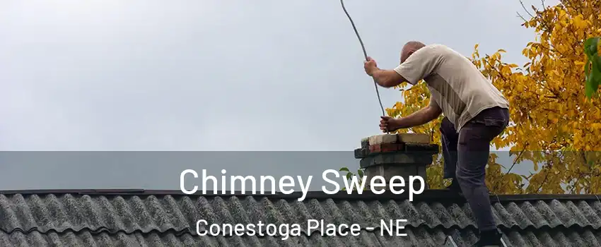 Chimney Sweep Conestoga Place - NE