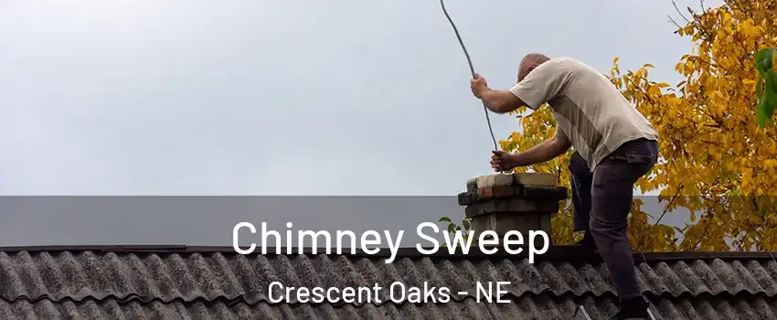 Chimney Sweep Crescent Oaks - NE