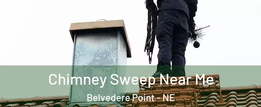 Chimney Sweep Near Me Belvedere Point - NE