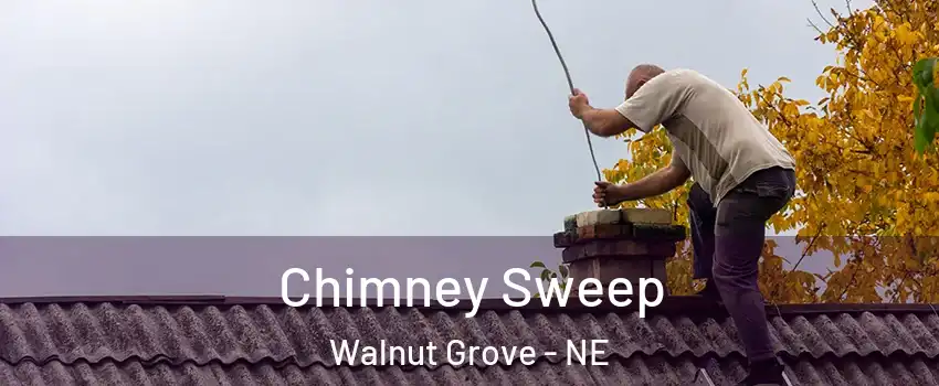 Chimney Sweep Walnut Grove - NE