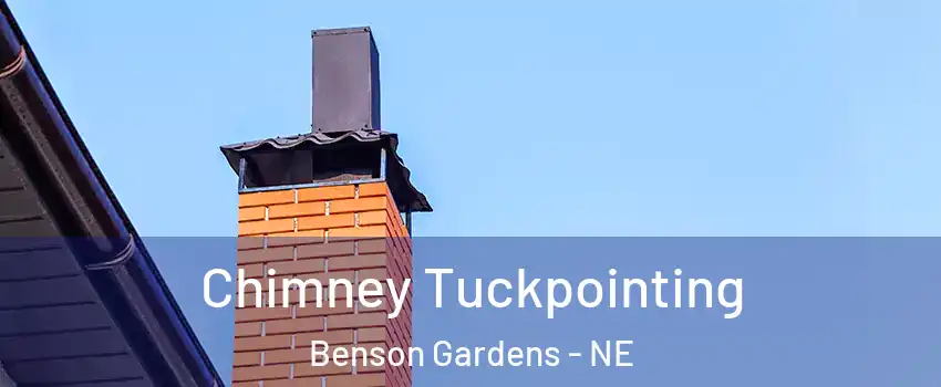 Chimney Tuckpointing Benson Gardens - NE