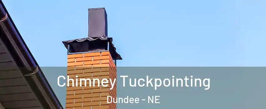 Chimney Tuckpointing Dundee - NE