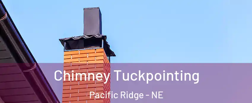 Chimney Tuckpointing Pacific Ridge - NE