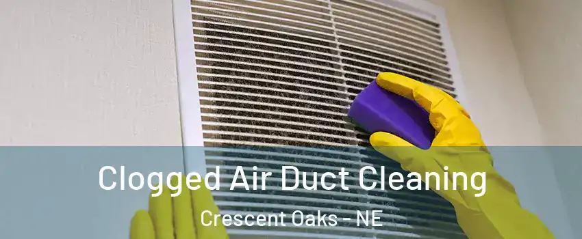 Clogged Air Duct Cleaning Crescent Oaks - NE