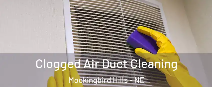 Clogged Air Duct Cleaning Mockingbird Hills - NE