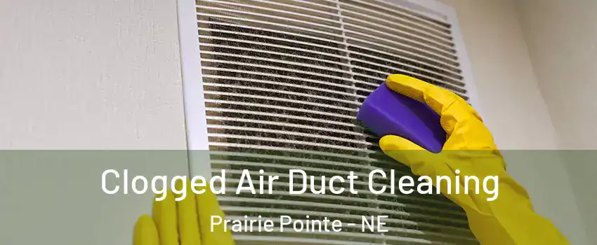 Clogged Air Duct Cleaning Prairie Pointe - NE