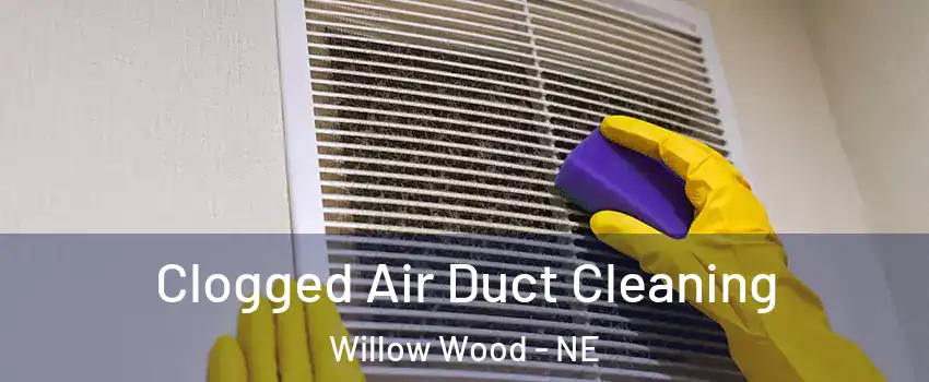 Clogged Air Duct Cleaning Willow Wood - NE