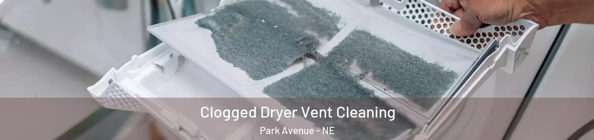 Clogged Dryer Vent Cleaning Park Avenue - NE