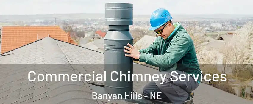 Commercial Chimney Services Banyan Hills - NE