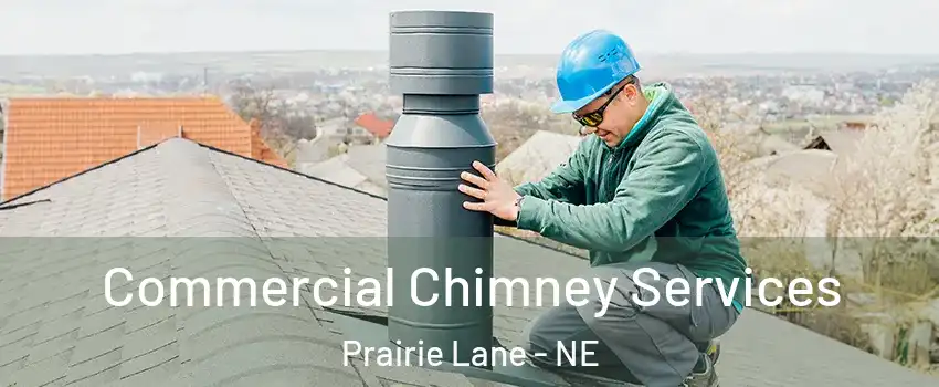 Commercial Chimney Services Prairie Lane - NE