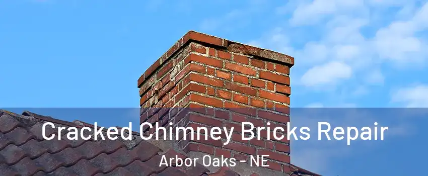 Cracked Chimney Bricks Repair Arbor Oaks - NE