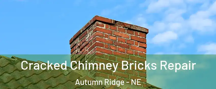 Cracked Chimney Bricks Repair Autumn Ridge - NE