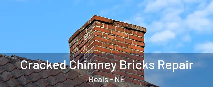 Cracked Chimney Bricks Repair Beals - NE