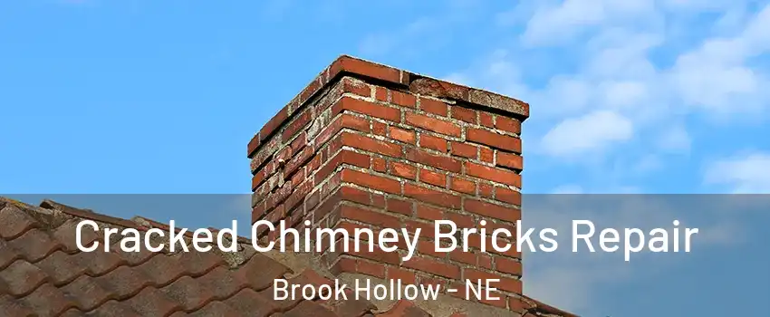 Cracked Chimney Bricks Repair Brook Hollow - NE