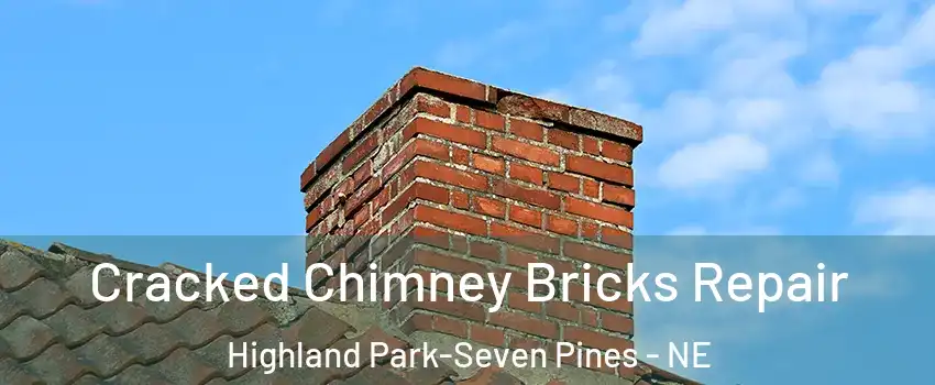 Cracked Chimney Bricks Repair Highland Park-Seven Pines - NE