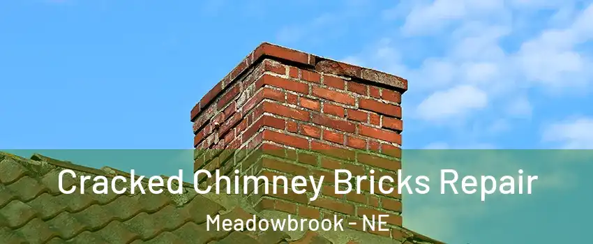 Cracked Chimney Bricks Repair Meadowbrook - NE