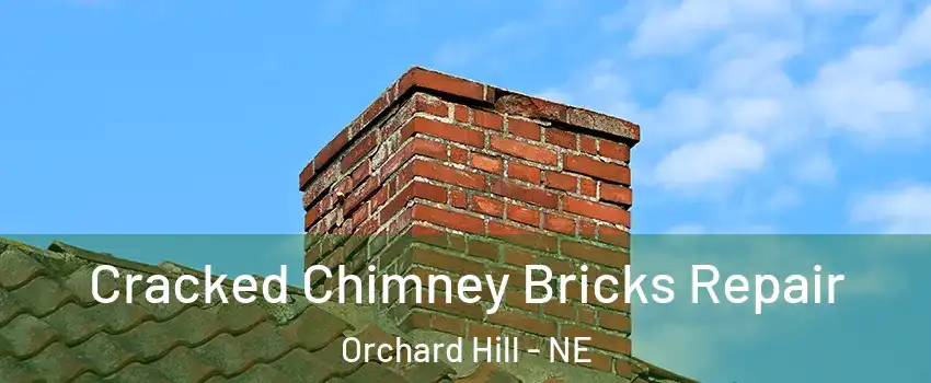 Cracked Chimney Bricks Repair Orchard Hill - NE