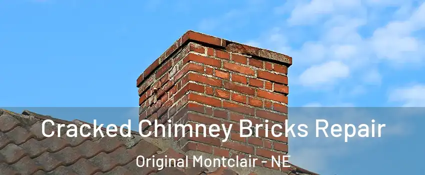 Cracked Chimney Bricks Repair Original Montclair - NE