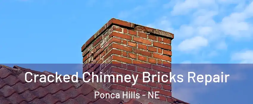 Cracked Chimney Bricks Repair Ponca Hills - NE