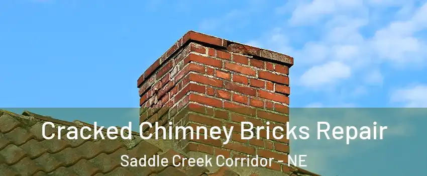 Cracked Chimney Bricks Repair Saddle Creek Corridor - NE