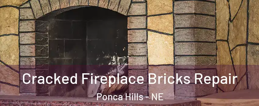 Cracked Fireplace Bricks Repair Ponca Hills - NE