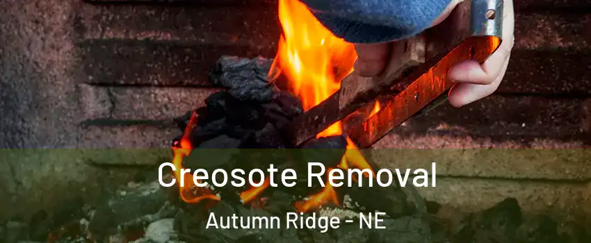 Creosote Removal Autumn Ridge - NE