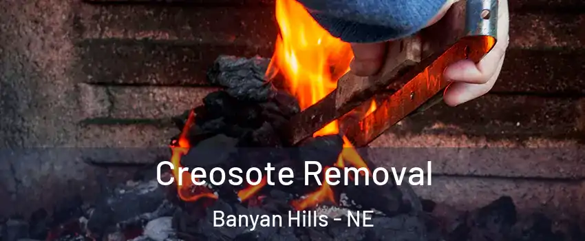 Creosote Removal Banyan Hills - NE