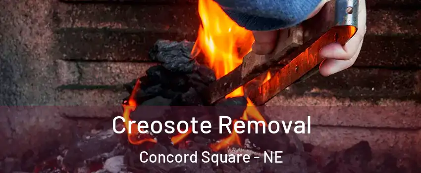 Creosote Removal Concord Square - NE