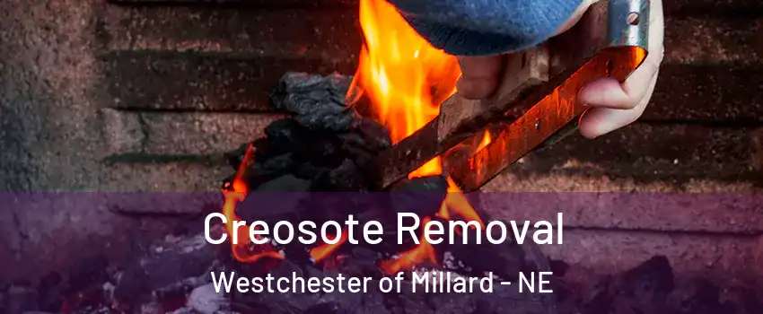 Creosote Removal Westchester of Millard - NE