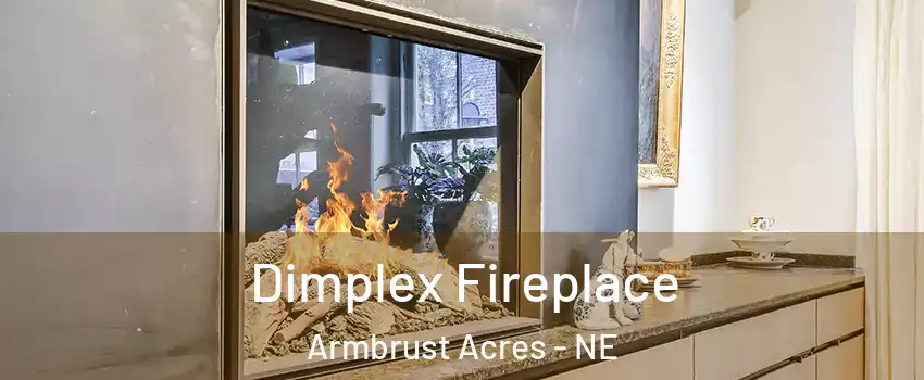 Dimplex Fireplace Armbrust Acres - NE