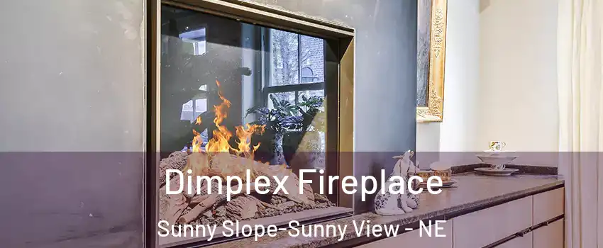 Dimplex Fireplace Sunny Slope-Sunny View - NE