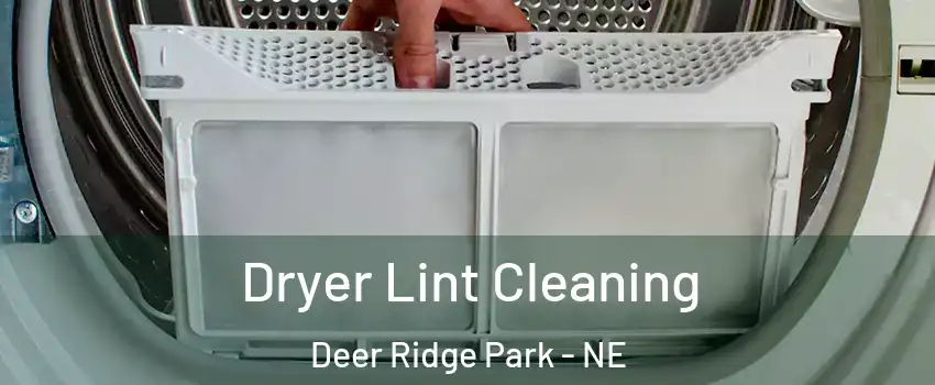 Dryer Lint Cleaning Deer Ridge Park - NE