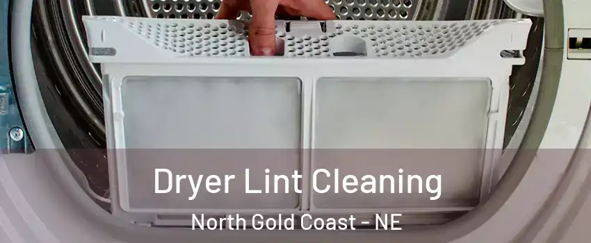 Dryer Lint Cleaning North Gold Coast - NE