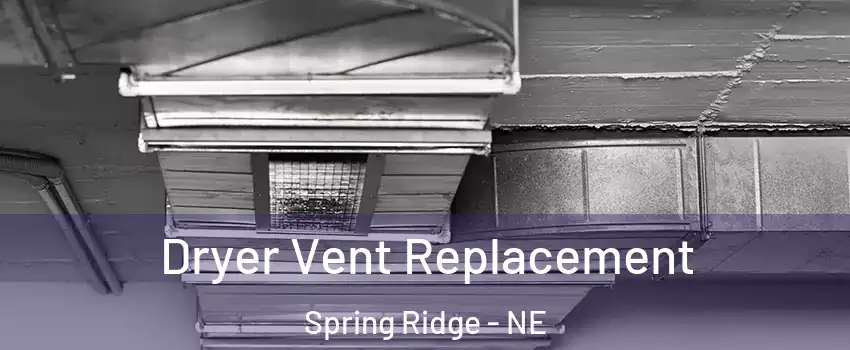 Dryer Vent Replacement Spring Ridge - NE