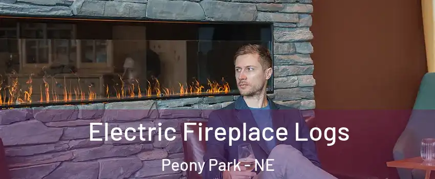 Electric Fireplace Logs Peony Park - NE