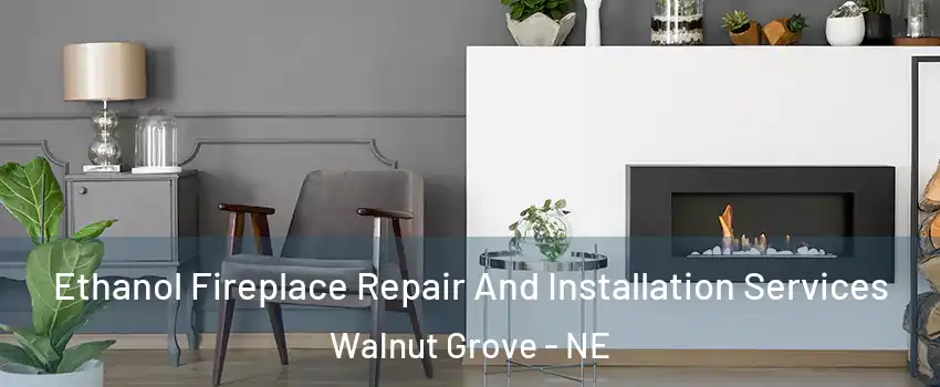 Ethanol Fireplace Repair And Installation Services Walnut Grove - NE