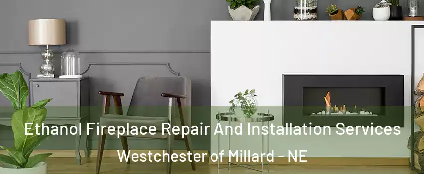 Ethanol Fireplace Repair And Installation Services Westchester of Millard - NE