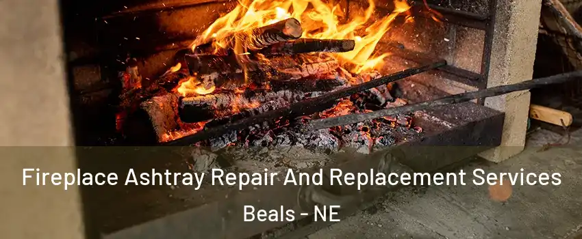 Fireplace Ashtray Repair And Replacement Services Beals - NE