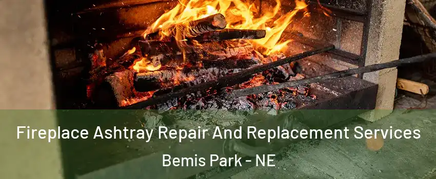 Fireplace Ashtray Repair And Replacement Services Bemis Park - NE