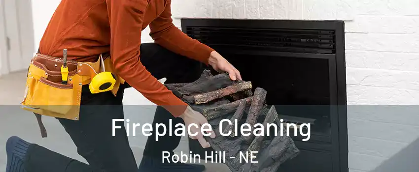 Fireplace Cleaning Robin Hill - NE