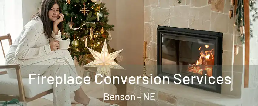 Fireplace Conversion Services Benson - NE