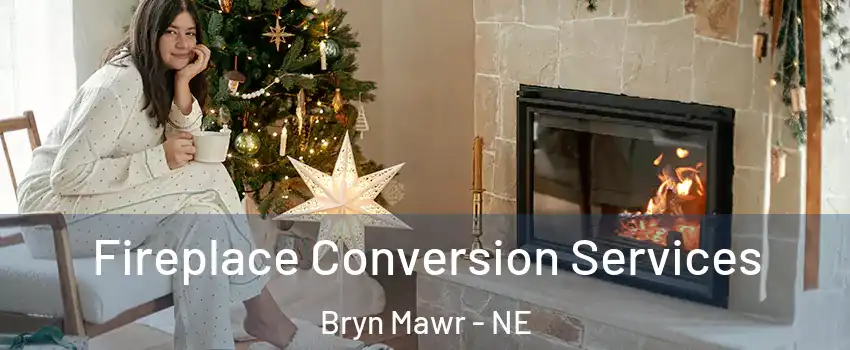 Fireplace Conversion Services Bryn Mawr - NE