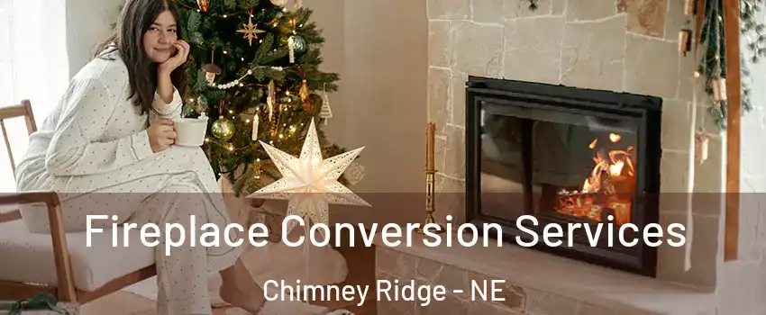 Fireplace Conversion Services Chimney Ridge - NE