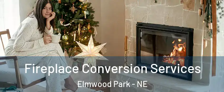 Fireplace Conversion Services Elmwood Park - NE