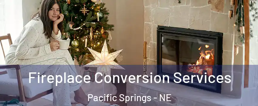 Fireplace Conversion Services Pacific Springs - NE