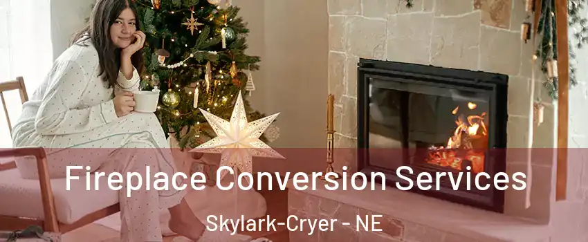 Fireplace Conversion Services Skylark-Cryer - NE