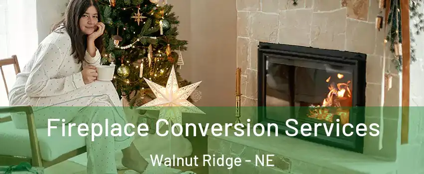 Fireplace Conversion Services Walnut Ridge - NE