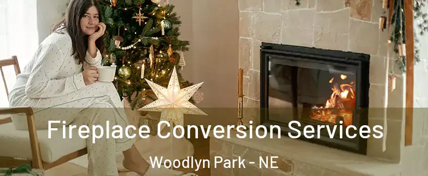 Fireplace Conversion Services Woodlyn Park - NE