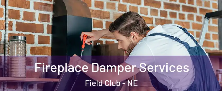 Fireplace Damper Services Field Club - NE